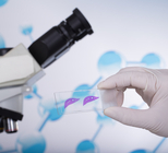 ביופסיה המעי הדק - תמונת המחשה